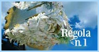 regola1